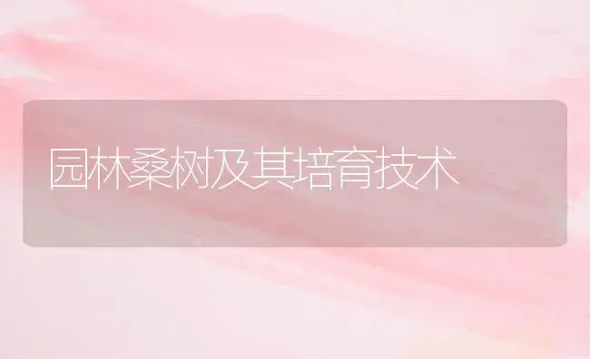 园林桑树及其培育技术 | 植物科普