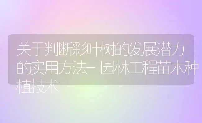 关于判断彩叶树的发展潜力的实用方法-园林工程苗木种植技术 | 植物科普