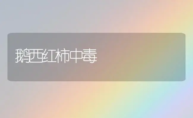鹅西红柿中毒 | 植物百科