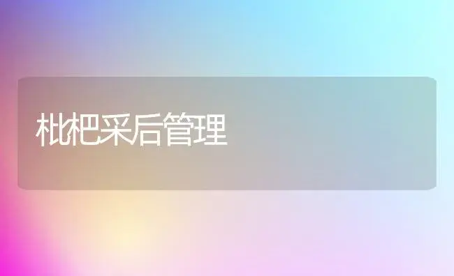 枇杷采后管理 | 植物百科