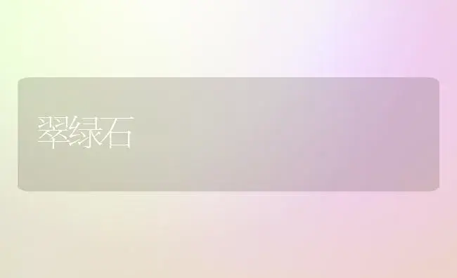 翠绿石 | 植物科普