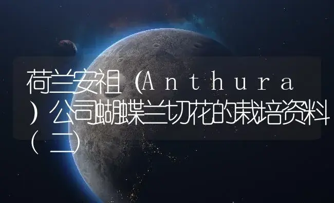 荷兰安祖（Anthura）公司蝴蝶兰切花的栽培资料(二) | 植物知识