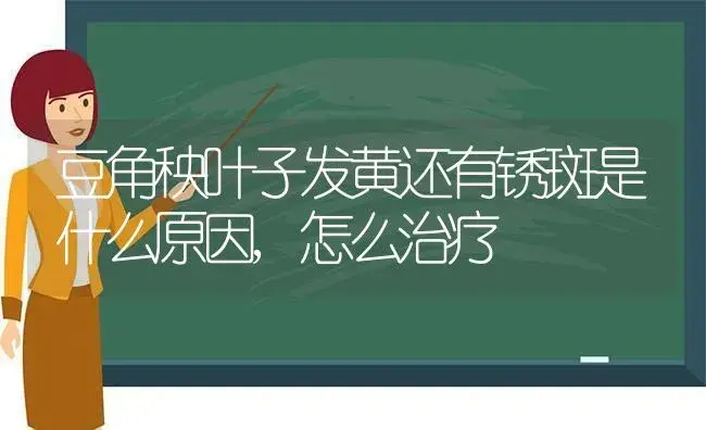 豆角秧叶子发黄还有锈斑是什么原因,怎么治疗 | 植物科普