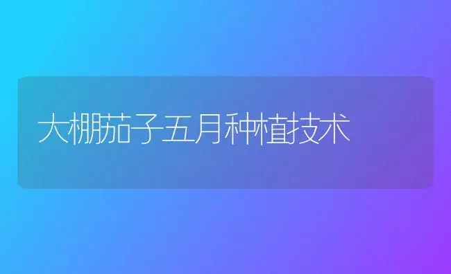 栽培速生菜技术 | 植物百科