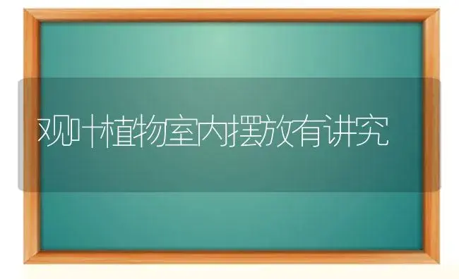 观叶植物室内摆放有讲究 | 植物科普