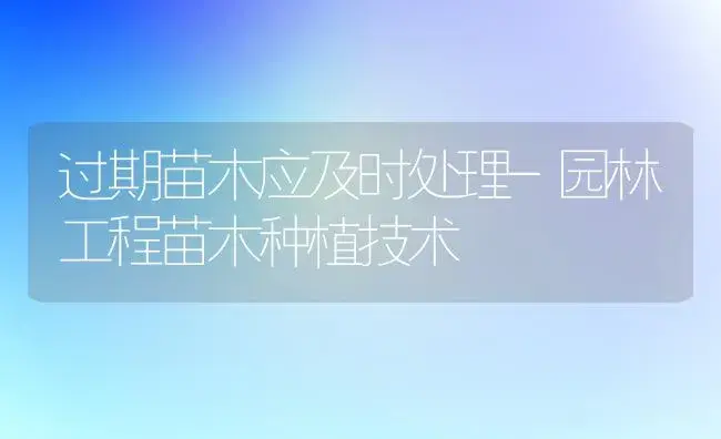 过期苗木应及时处理-园林工程苗木种植技术 | 植物知识