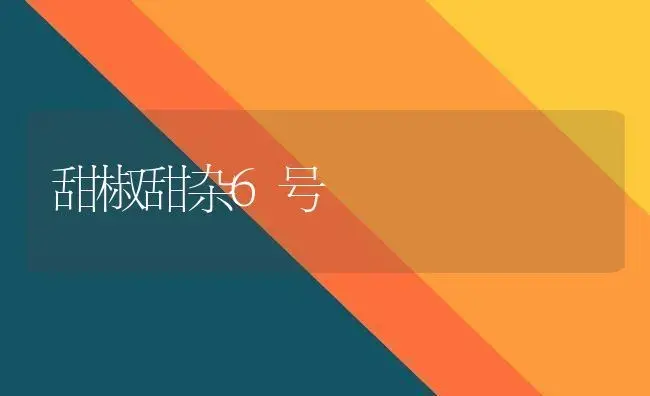 甜椒甜杂6号 | 植物科普