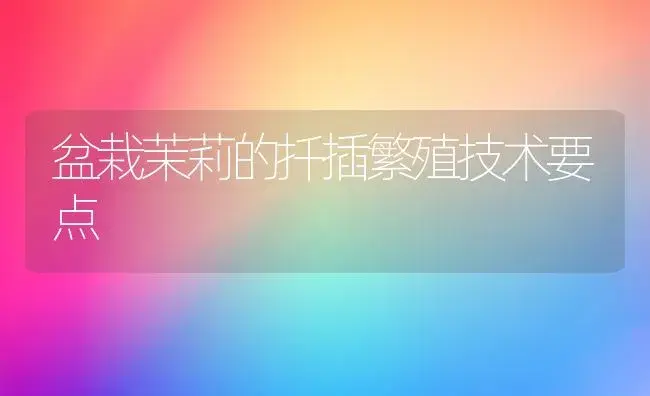 盆栽茉莉的扦插繁殖技术要点 | 植物科普