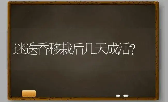 迷迭香移栽后几天成活？ | 植物问答