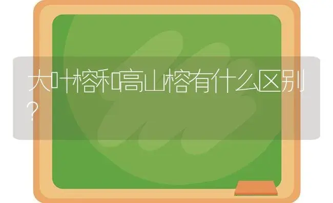 大叶榕和高山榕有什么区别？ | 植物问答