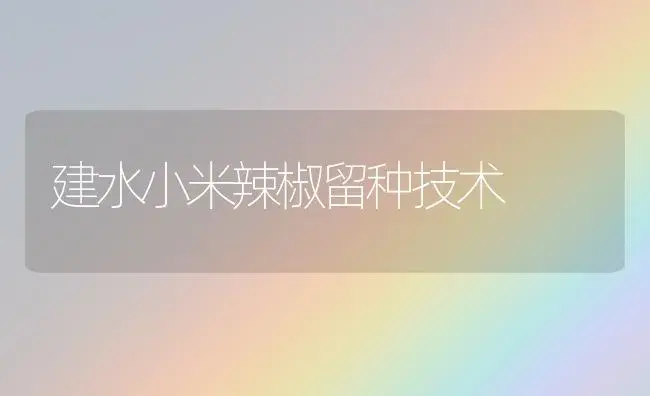 建水小米辣椒留种技术 | 植物科普