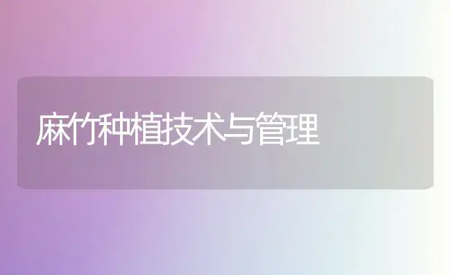 麻竹种植技术与管理 | 植物百科