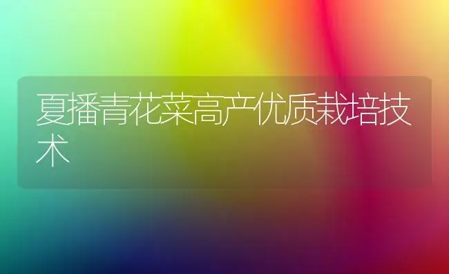 夏播青花菜高产优质栽培技术 | 植物科普