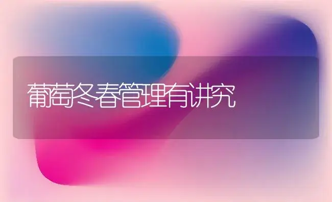葡萄冬春管理有讲究 | 植物科普