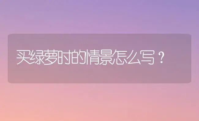 买绿萝时的情景怎么写？ | 植物问答