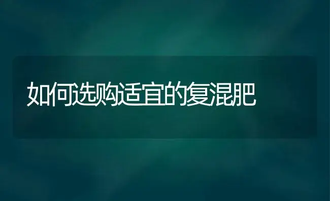 嫁接沙糖桔时需要注意什么？ | 植物科普