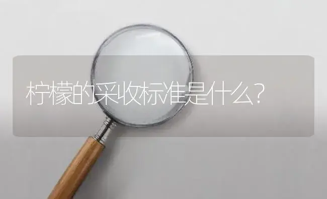 柠檬的采收标准是什么？ | 植物百科