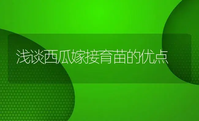 浅谈西瓜嫁接育苗的优点 | 植物百科