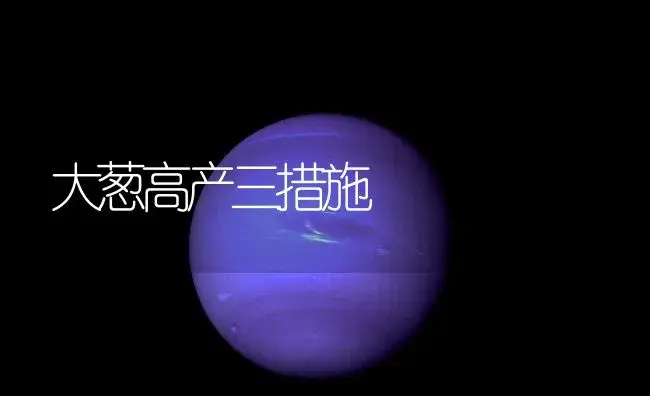 大葱高产三措施 | 植物百科