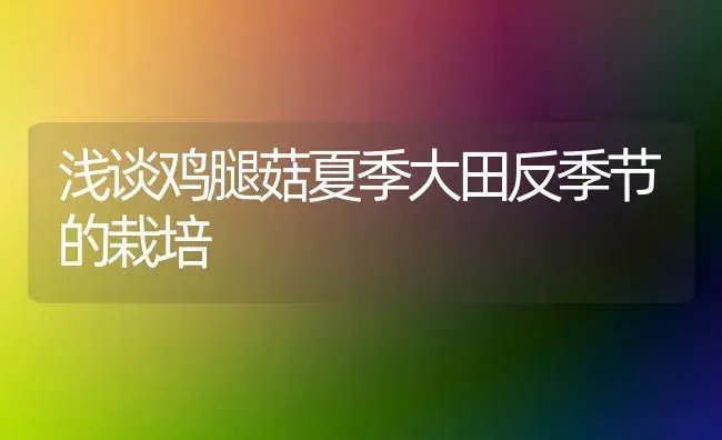 浅谈鸡腿菇夏季大田反季节的栽培 | 植物科普