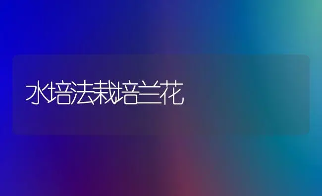 水培法栽培兰花 | 植物知识