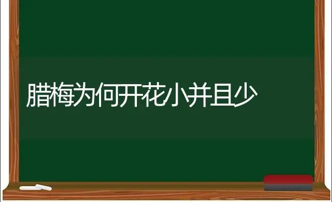 腊梅为何开花小并且少 | 植物科普