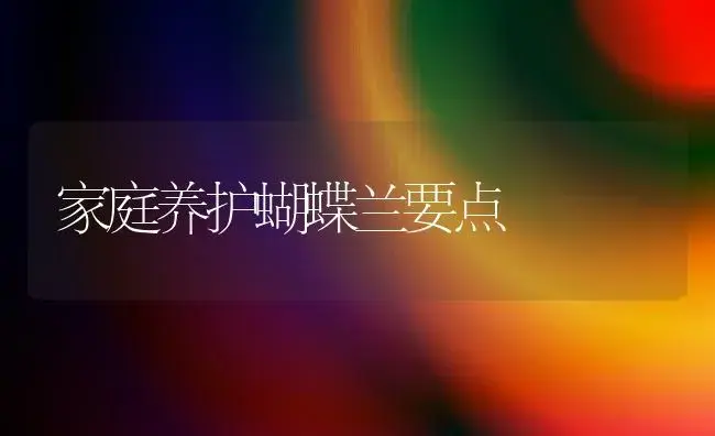 冰肌玉骨玉兰花 | 植物知识