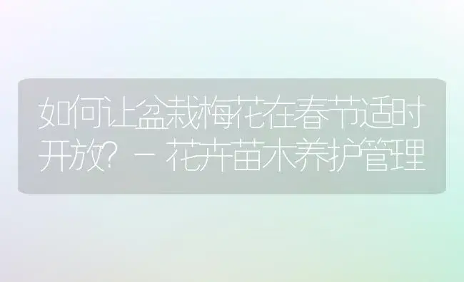 如何让盆栽梅花在春节适时开放？-花卉苗木养护管理 | 植物知识