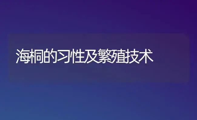 海桐的习性及繁殖技术 | 植物科普