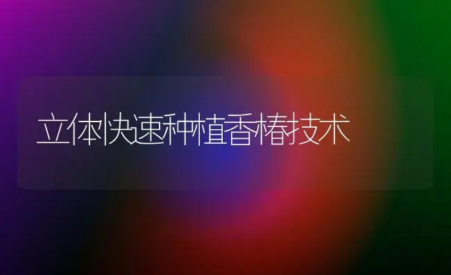 立体快速种植香椿技术 | 植物百科