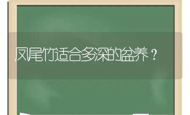 凤尾竹适合多深的盆养？ | 植物问答