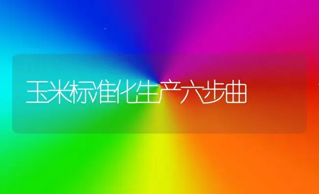 玉米标准化生产六步曲 | 植物科普