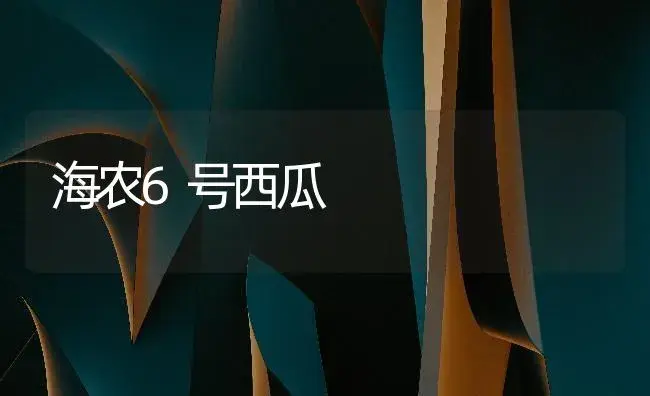 海农6号西瓜 | 植物百科