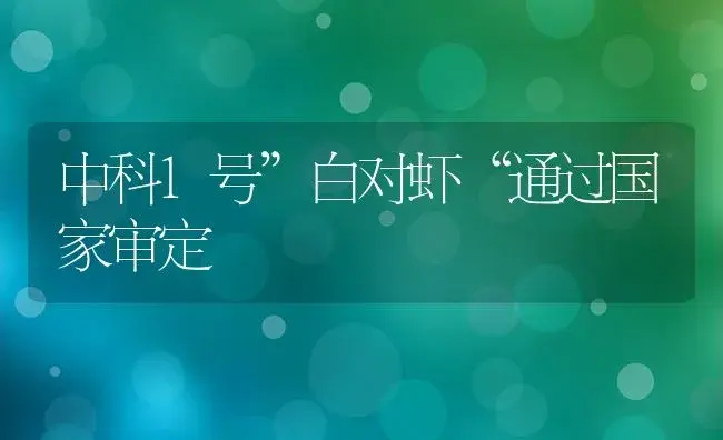 中科1号”白对虾“通过国家审定 | 植物科普