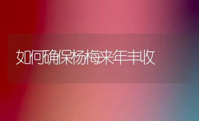 如何确保杨梅来年丰收 | 植物科普