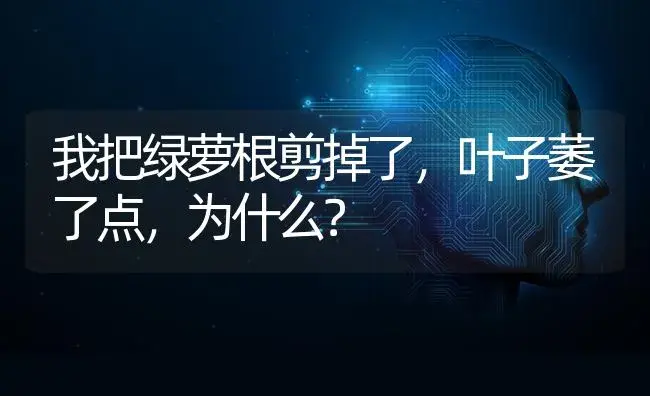 我把绿萝根剪掉了，叶子萎了点，为什么？ | 植物问答