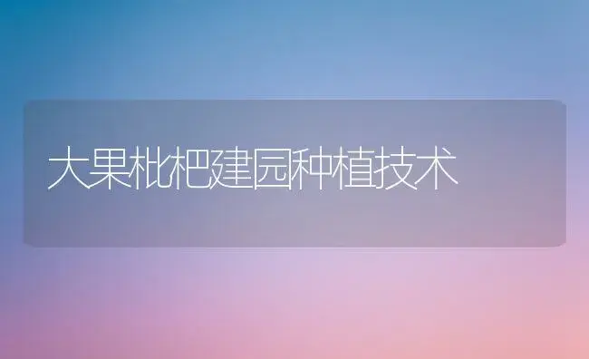 大果枇杷建园种植技术 | 植物百科