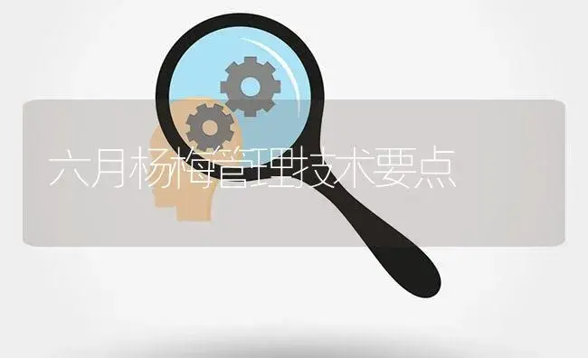 六月杨梅管理技术要点 | 植物百科