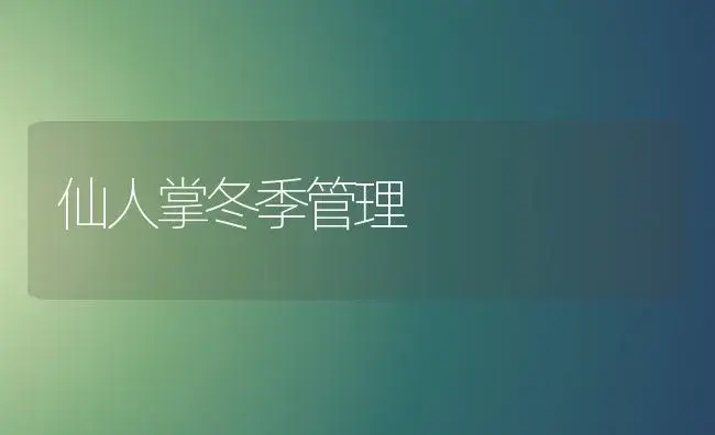 仙人掌冬季管理 | 植物知识