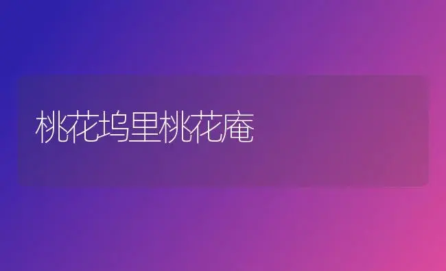 桃花坞里桃花庵 | 植物科普