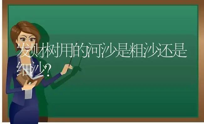 发财树用的河沙是粗沙还是细沙？ | 植物问答