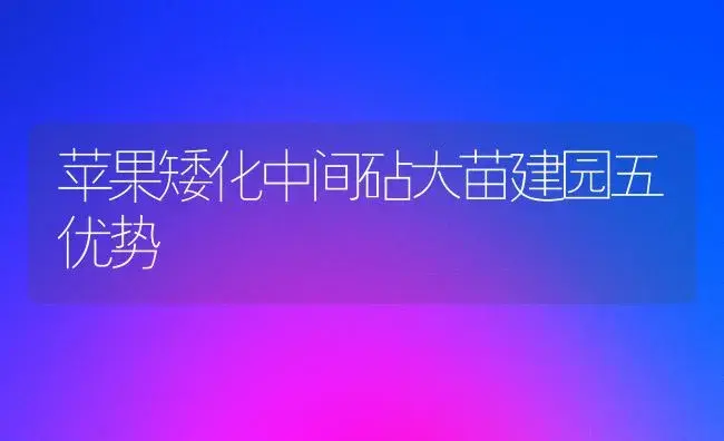 苹果矮化中间砧大苗建园五优势 | 植物百科