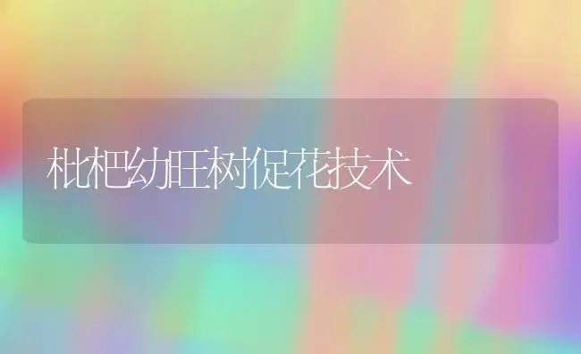 枇杷幼旺树促花技术 | 植物百科