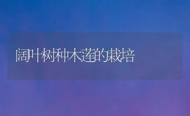 阔叶树种木莲的栽培 | 植物科普