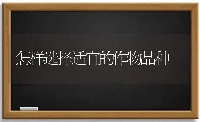 怎样选择适宜的作物品种 | 植物科普