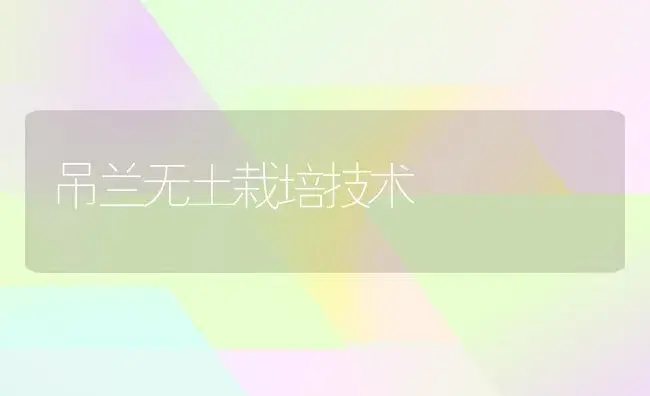 吊兰无土栽培技术 | 植物知识