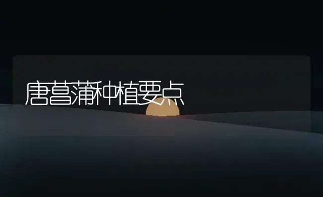 唐菖蒲种植要点 | 植物知识