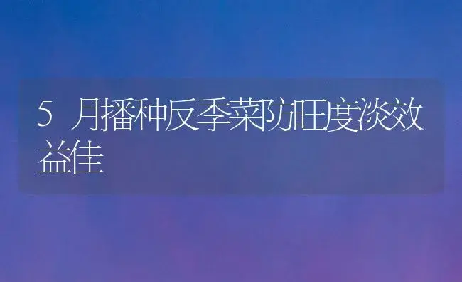 5月播种反季菜防旺度淡效益佳 | 植物科普