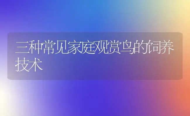 三种常见家庭观赏鸟的饲养技术 | 植物知识