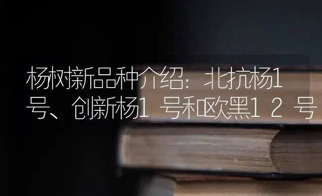 杨树新品种介绍：北抗杨1号、创新杨1号和欧黑12号 | 植物科普